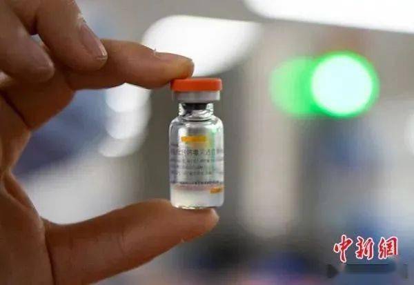 鸡油疫苗种类及其应用