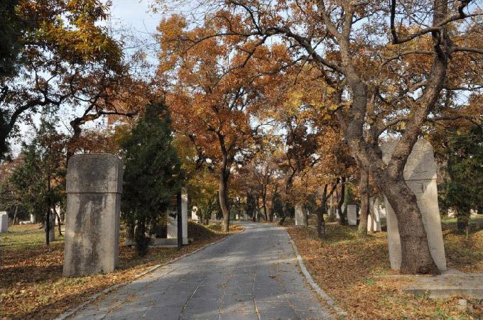 建筑学全球大学排名及其影响力探讨