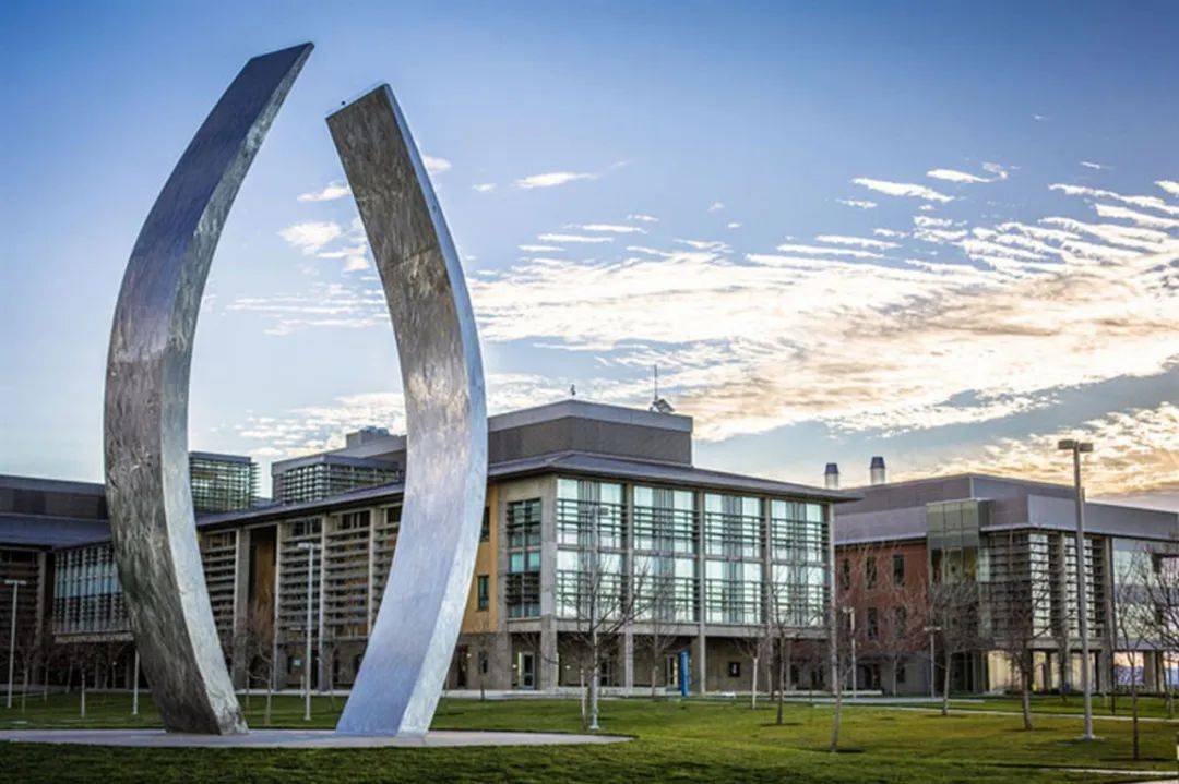 大学建筑设计规范，塑造现代化教育环境的基石