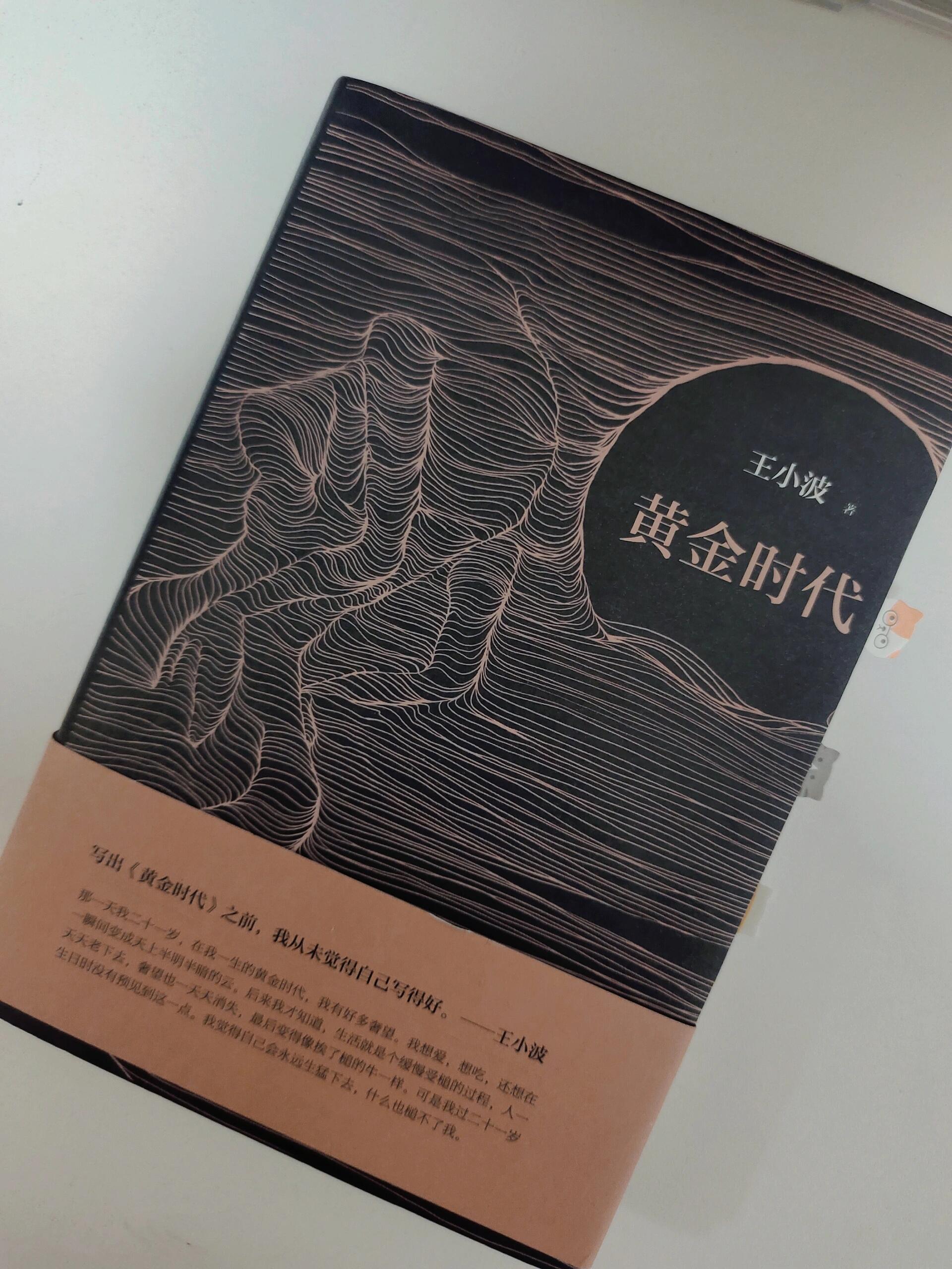 黄金时代小说下载，探索文学宝藏的旅程