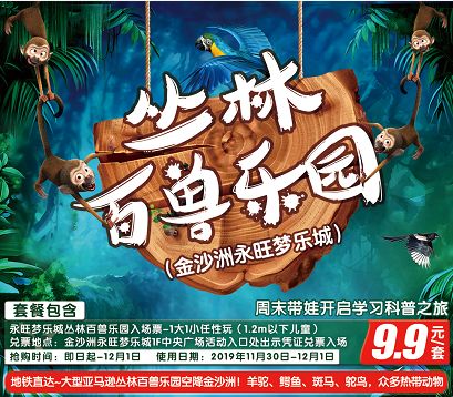 小黄金鸟——人与自然和谐共生的美妙使者