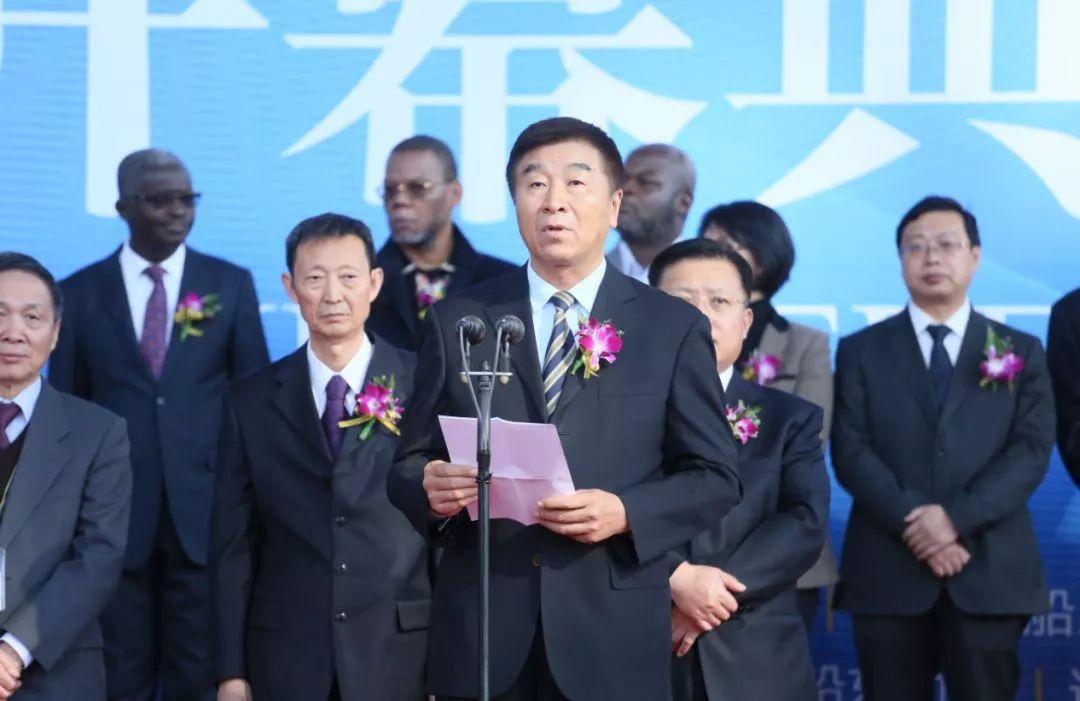 长江内河船舶交易中介，桥梁与纽带