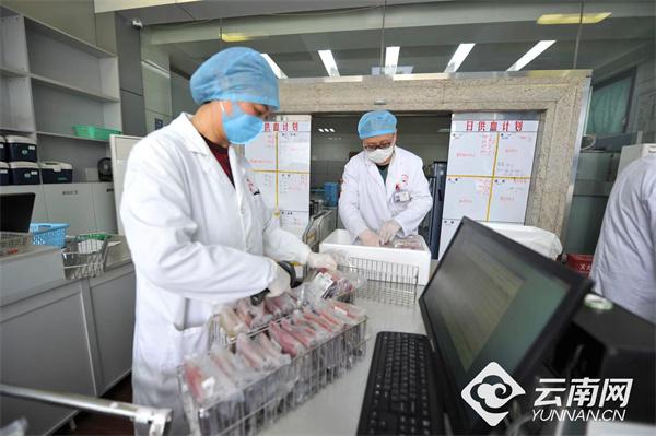 昆明儿童医院血液科专家，守护生命的使者