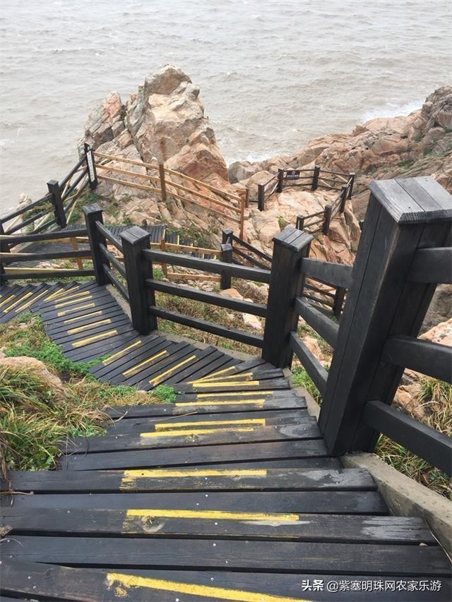 手游开局一个人一条狗，探险之旅的起点与伙伴的力量