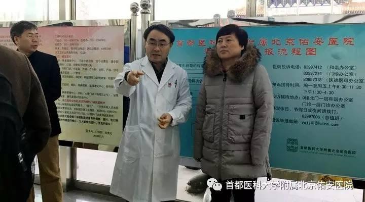 注册商标图案标本，品牌标识的重要性及其设计要素