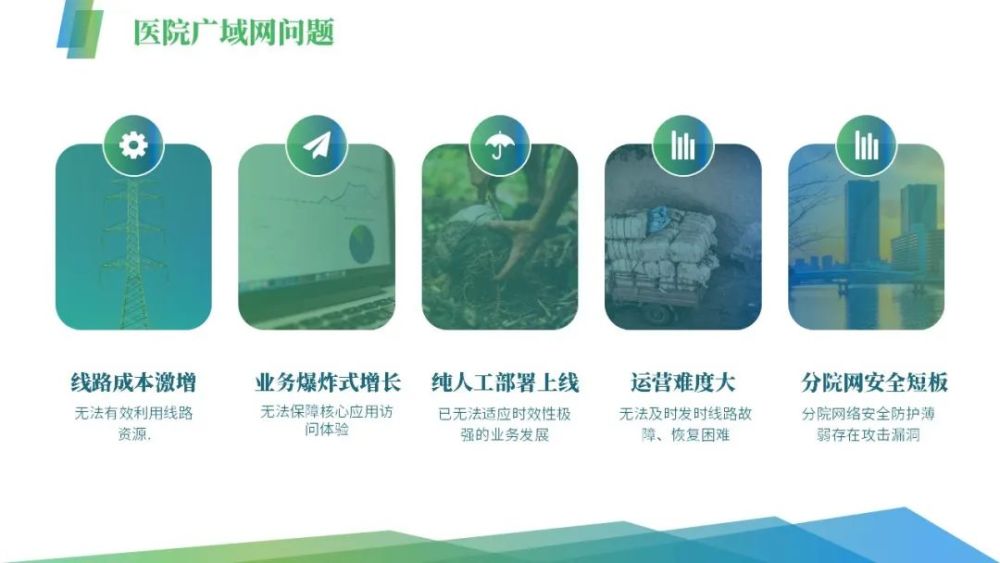 儿童医院中医科专家，融合传统智慧与现代医疗的先驱