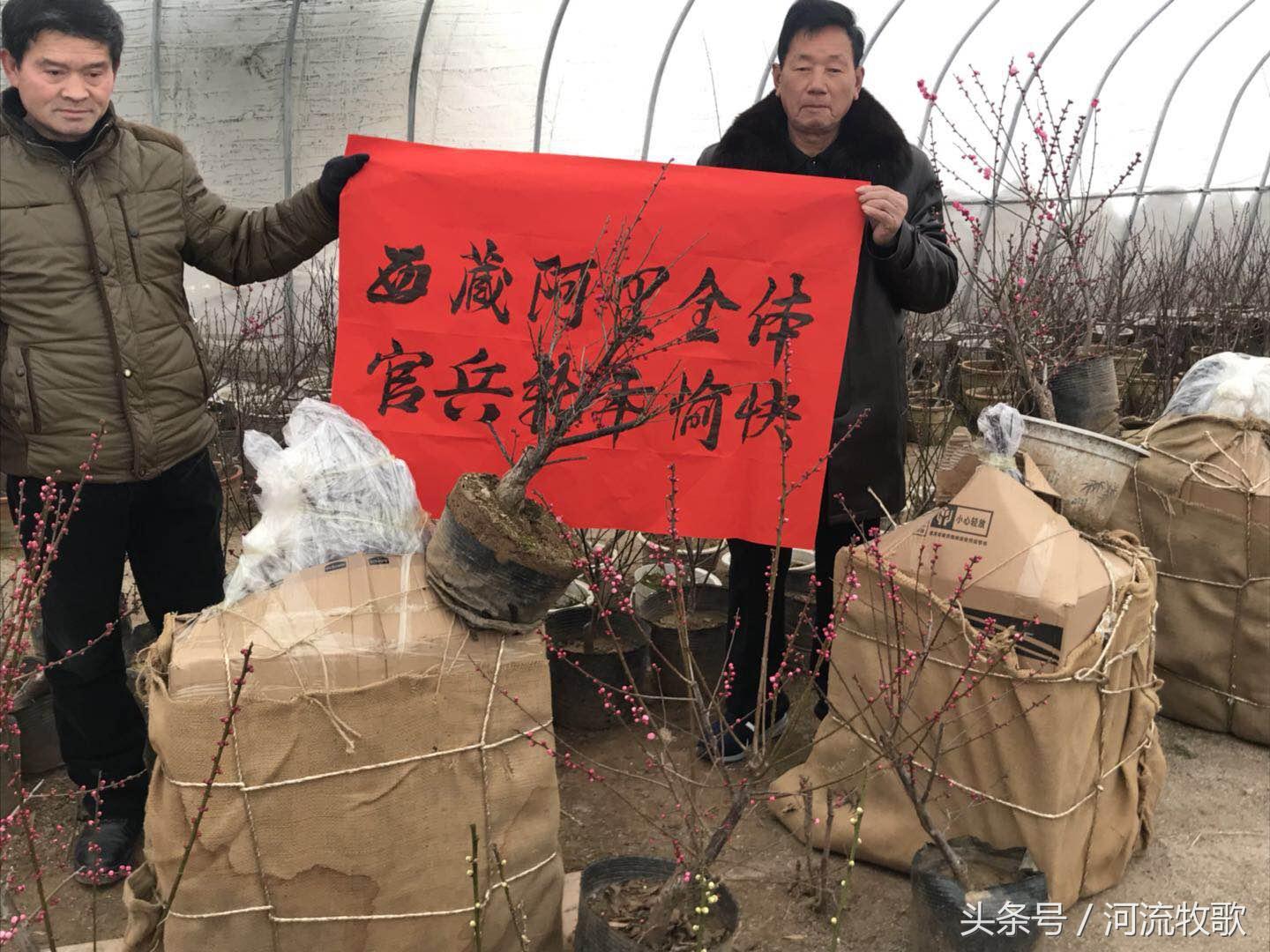 阿里军分区待遇解析