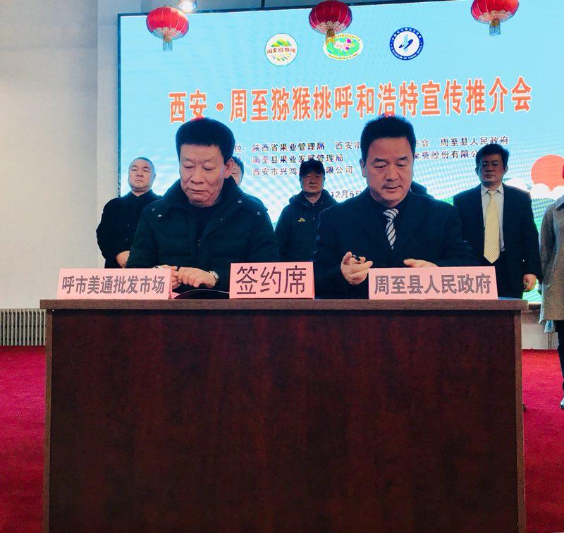 长江货船，探索五千吨以下的船舶世界
