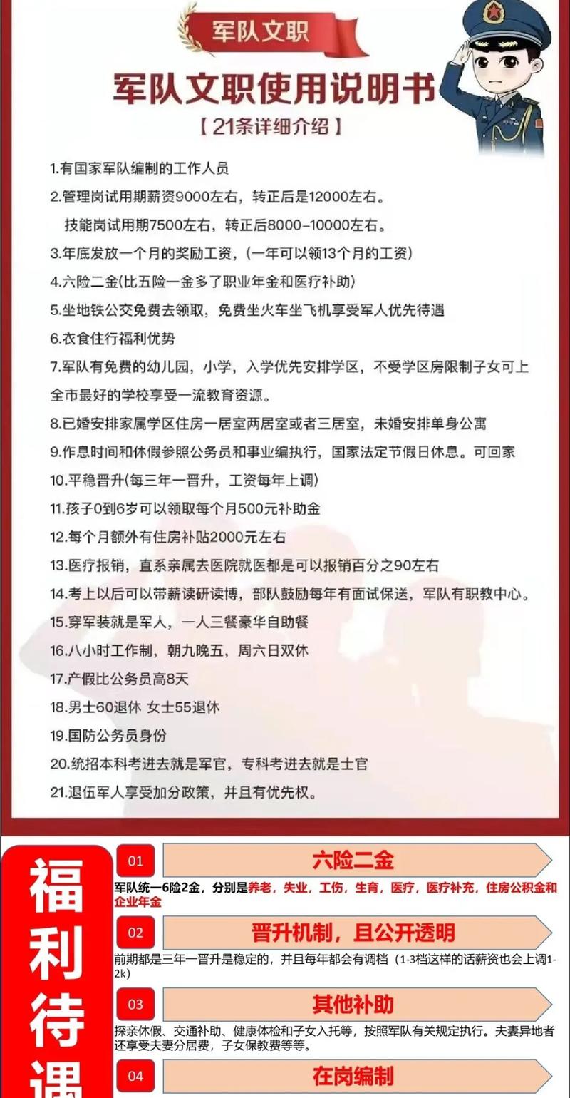 副大军区待遇，解析与探讨