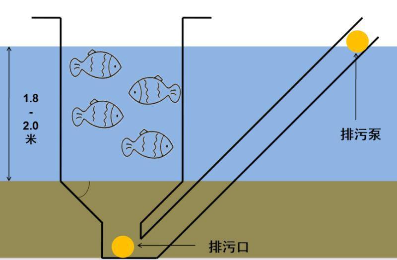 大棚养殖海参技术，创新养殖模式与高效管理策略