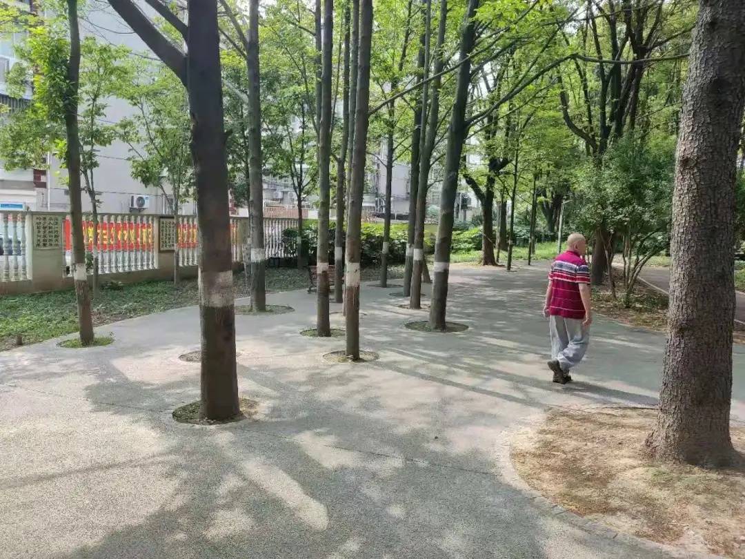 儿科脑专家，守护儿童健康的守护者
