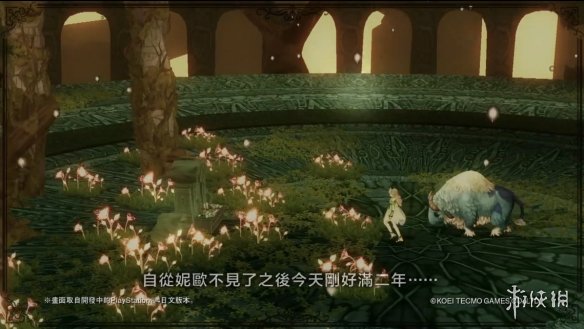 星河帝尊黄金海岸，探寻神秘与荣耀的交汇点