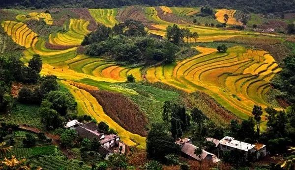 湖北木纹黄矿山，自然奇景与矿业发展的融合之地