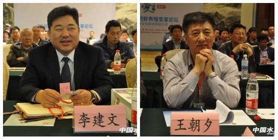 大棚工厂化养南美白对虾，创新养殖模式与前景展望