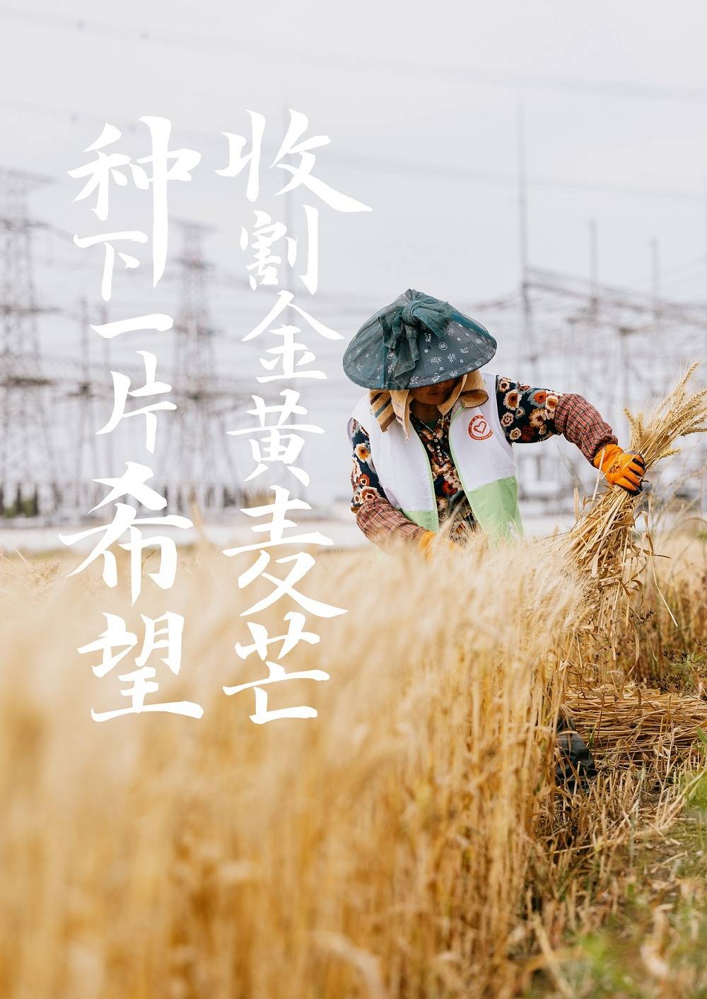 黄金时代种子，播种希望，收获未来