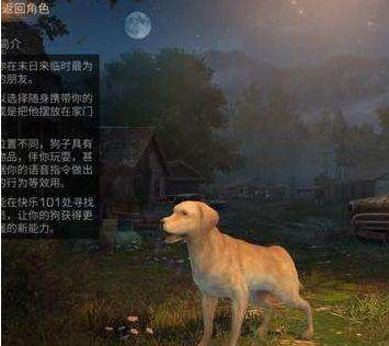 开局一人一狗，广告新策略的魅力与挑战