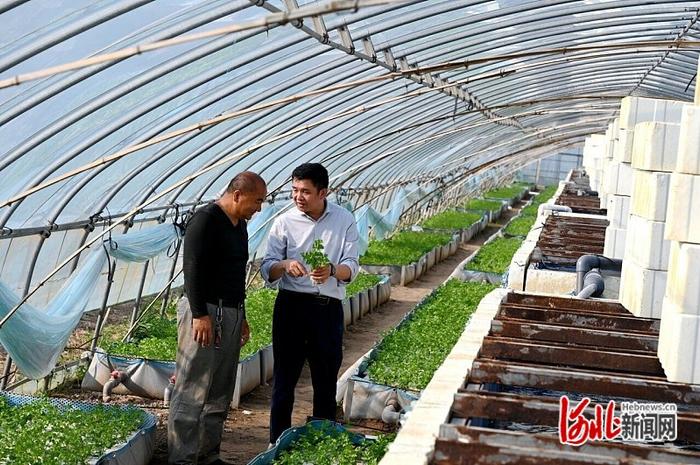 大棚帆布对虾养殖技术，现代水产养殖新模式