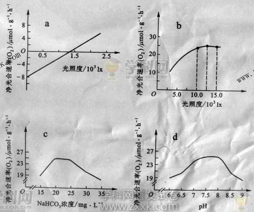 气压表准确性评估及其影响因素探讨