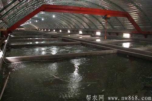 黄鳝养殖大棚图纸大全，设计与建设的全方位指南