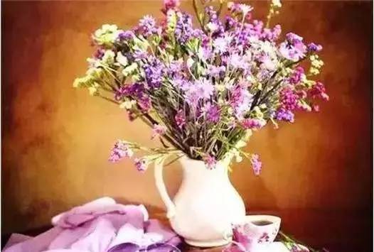 鸡蛋花之韵——一首无言的赞歌