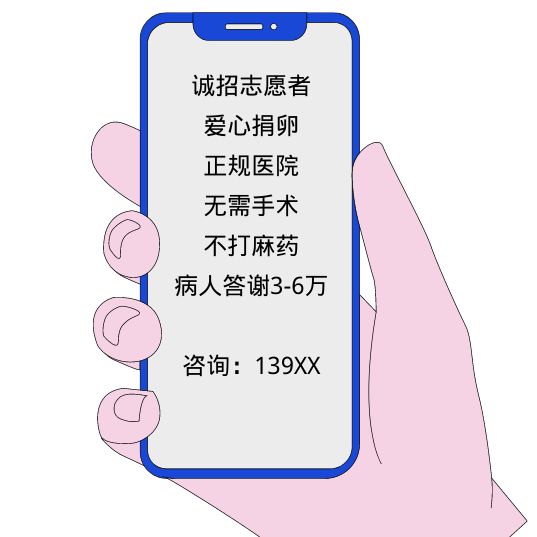 捐卵取卵过程，深入了解与关怀
