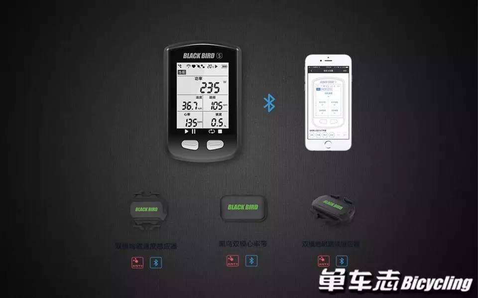 黑鸟码表拆解，深度探究其构造与功能