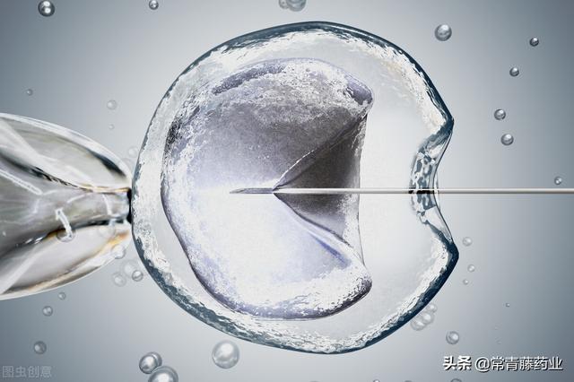 试管取卵后需要休息几个月？全面解读与指导