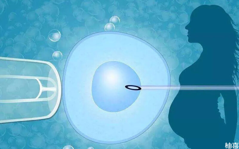 试管卵泡发育与取卵时机，探究卵泡大小与取卵关系的科学指南