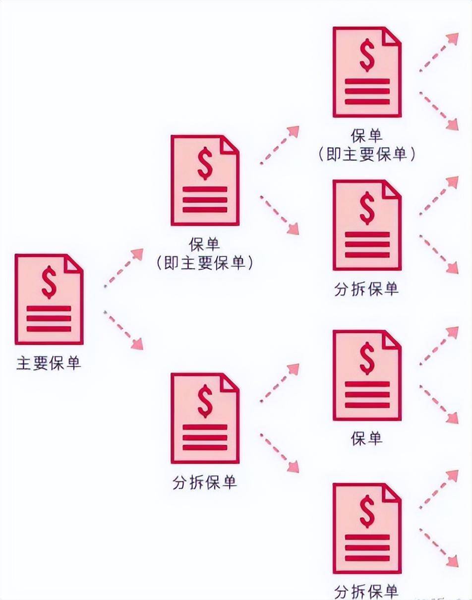 保单与发票，二者的深度关联与差异解读
