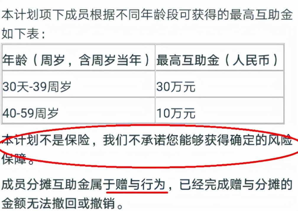 2025年5月28日 第5页