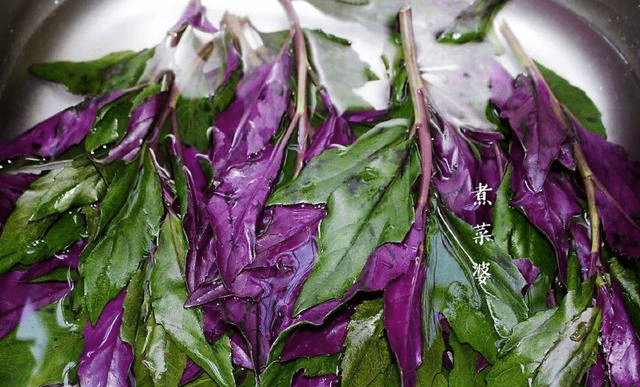 紫背菜蛋花汤，一道美味与健康共融的佳肴