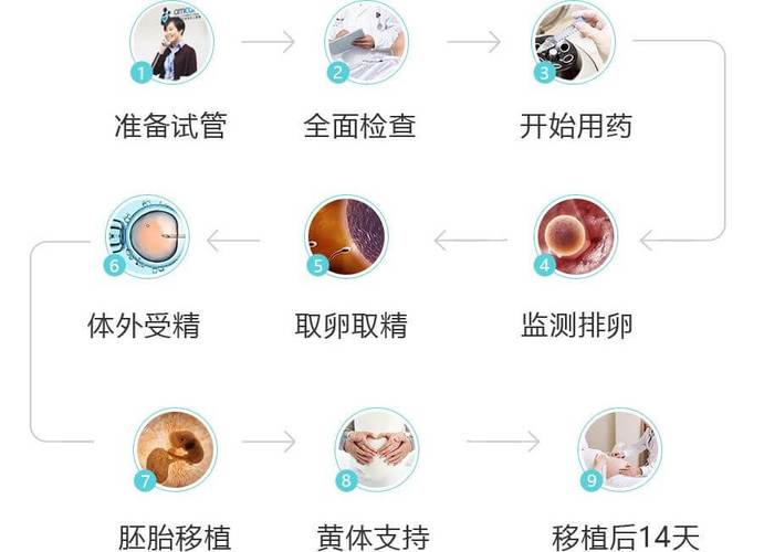 大龄女性试管取卵数量多的现象及其影响因素分析