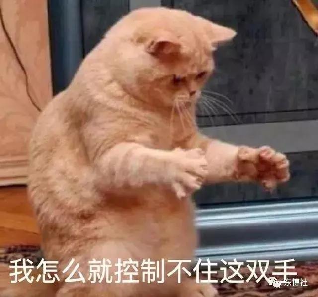 探究邪恶动图表情包背后的文化现象
