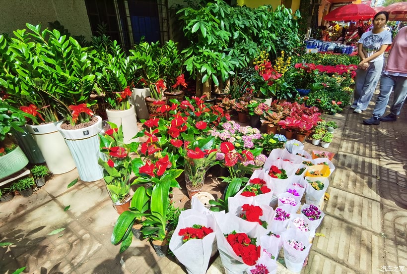 花市品种繁多，令人目不暇接