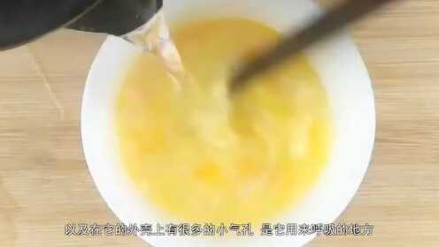 开水冲鸡蛋没有蛋花，一种独特的烹饪现象与背后的科学解释