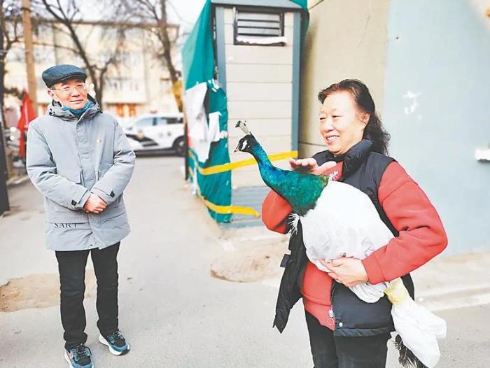 开封达人健身，探索健康生活的无限可能