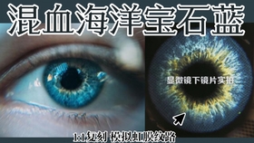 揭秘Seencon极光真假之谜