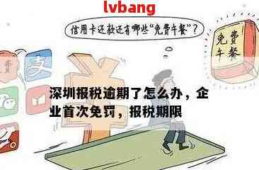 深圳发票提额，助力企业发展的关键一环