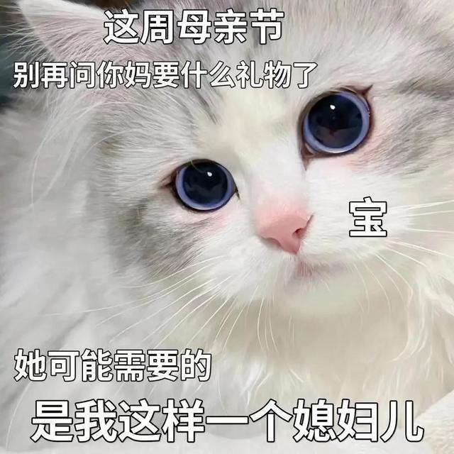娘的表情包，数字时代的情感纽带