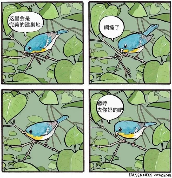 四格一本书漫画，探索漫画艺术的独特魅力