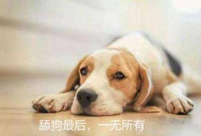 帮我跪舔表情包，一种独特的网络文化现象