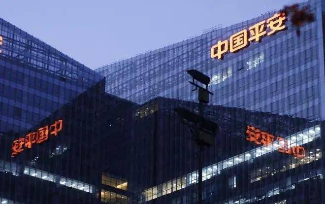 金属履带价格，深度解析与市场调研