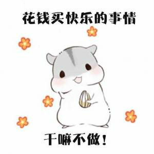 动漫老婆表情包，现代社交的新宠