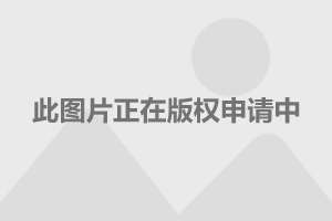 解放军第一代伞兵装备，历史沿革与装备特点