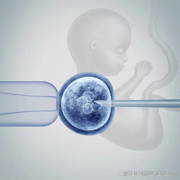 取卵后多长时间移植，深入了解试管婴儿技术中的关键因素